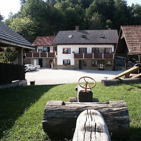 Pri Lazarju Farm Stay Podgrad  외부 사진