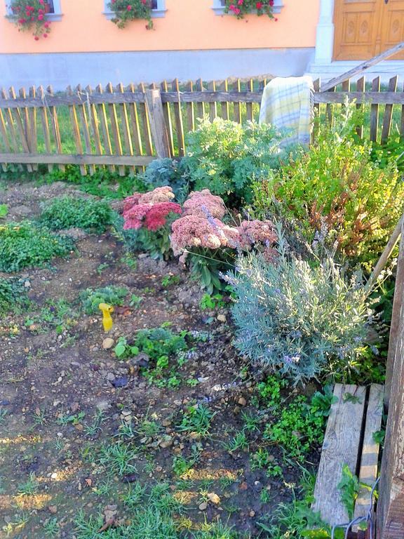 Pri Lazarju Farm Stay Podgrad  외부 사진