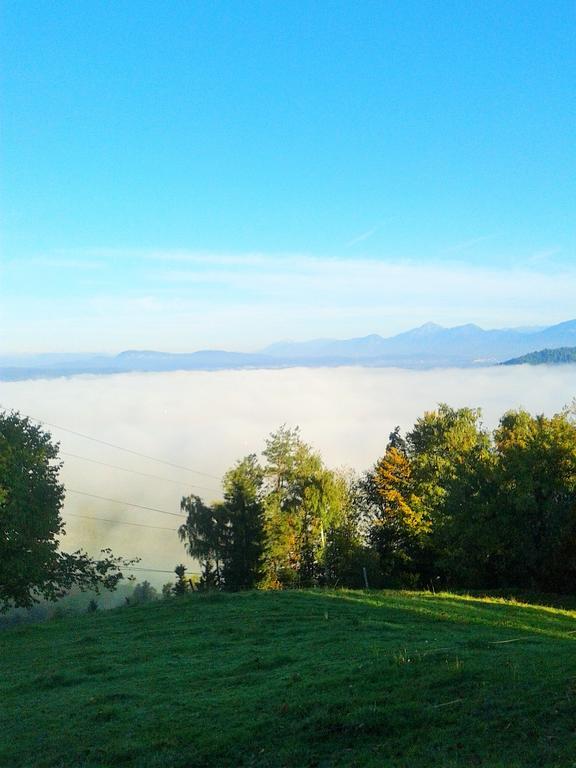 Pri Lazarju Farm Stay Podgrad  외부 사진